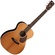 Cort L200F ATV Acoustic Guitar (Semi Gloss)