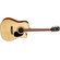 Cort AD800CE Acoustic Guitar (Natural Satin)