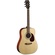 Cort Earth70 Acoustic Guitar (Open Pore)