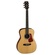 Cort L100C Acoustic Guitar with Guitar Bag (Natural Satin)