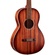 Cort AP550M Acoustic Guitar (Open Pore)