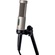 Royer Labs R-10-MP Large-Element Ribbon Microphone (Matched Pair)