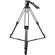 Sirui BCT-2203 Carbon Fibre Tripod & BCH-20 Video Head Bundle