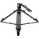 Sirui BCT-2203 Carbon Fibre Tripod & BCH-20 Video Head Bundle