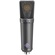 Neumann U 89 i MT Large-Diaphragm Multipattern Condenser Microphone (Black)