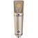 Neumann U 89 i Large-Diaphragm Multipattern Condenser Microphone (Nickel)