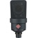 Neumann TLM 103 MT Stereo Set Large-Diaphragm Cardioid Condenser Microphone (Black)