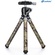 Leofoto Mini Carbon Fibre Tripod Kit MT-02C+LH-22 (Camo)