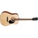Cort AD810 12 String Acoustic Guitar (Open Pore)