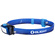 Olight H05 Lite Compact Headlamp (Blue)