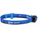 Olight H05 Lite Compact Headlamp (Blue)