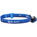 Olight H05 Lite Compact Headlamp (Blue)