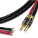 Canare 11 AWG 4S11 Speaker Cable with 2 Banana To 2 Spade Connectors