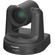 Panasonic AW-UE20 4K 3G-SDI/HDMI/IP/USB PTZ Camera with 12x Optical Zoom (Black)