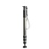 Gitzo GM4542 Series 4 Carbon Fibre 4-Section Monopod