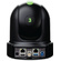 BirdDog Eyes P110 1080p Full NDI PTZ Camera (Black)