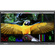 Lilliput Q31 31.5" 12G-SDI/HDMI Broadcast Studio Monitor