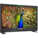 Lilliput Q31 31.5" 12G-SDI/HDMI Broadcast Studio Monitor