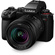Panasonic Lumix S5 II Mirrorless Digital Camera with 20-60mm Lens