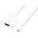 Dynamix C-USBCHDMI4K30 USB-C To HDMI Adapter
