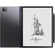 Boox Tab Ultra 10.3" ePaper Tablet PC
