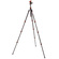 3 Legged Thing Punks Billy 2.0 Carbon Fibre Tripod with AirHed Neo 2.0 Ball Head (Black)