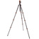 3 Legged Thing Punks Billy 2.0 Carbon Fibre Tripod with AirHed Neo 2.0 Ball Head (Black)