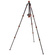 3 Legged Thing Punks Billy 2.0 Carbon Fibre Tripod with AirHed Neo 2.0 Ball Head (Black)