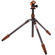 3 Legged Thing Punks Billy 2.0 Carbon Fibre Tripod with AirHed Neo 2.0 Ball Head (Black)