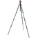3 Legged Thing Punks Billy 2.0 Carbon Fibre Tripod with AirHed Neo 2.0 Ball Head (Blue)