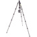 3 Legged Thing Punks Brian 2.0 Carbon Fibre Tripod with AirHed Neo 2.0 Ball Head (Darkness)