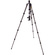 3 Legged Thing Legends Bucky Carbon Fibre Tripod with AirHed VU Ball Head Set (Darkness)