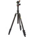 3 Legged Thing Punks Patti Tripod with AirHed Mini Ball Head (Black)