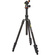 3 Legged Thing Punks Patti Tripod with AirHed Mini Ball Head (Black)