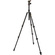 3 Legged Thing Punks Patti Tripod with AirHed Mini Ball Head (Black)