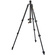 3 Legged Thing Punks Patti Tripod with AirHed Mini Ball Head (Black)