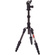3 Legged Thing Legends Ray Carbon Fibre Tripod with AirHed Vu Ball Head Set (Darkness)