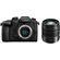 Panasonic Lumix GH5 II Mirrorless Camera with Lumix G 14-140mm f/3.5-5.6II Lens