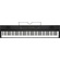 Korg L1 Liano 88-Key Slim-Body Portable Digital Piano (Black)