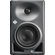 Neumann KH 120-II Single Studio Monitor (Anthracite)