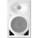 Neumann KH 120-II AES67 Single Studio Monitor (White)