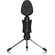 Behringer BV4038 Vintage Waffle Iron USB Microphone