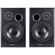 Dynaudio Acoustics BM15A 10" 2-Way Active Nearfield Monitor (Pair)