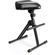 Gravity GFMSEAT1 Height Adjustable Stool with Footrest
