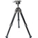 Explorer GX-KIT Gravity Table Top Tripod with GX-01 Ball Head