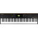StudioLogic Numa X Piano 73-Key Digital Stage Piano with FATAR TP/110 Keybed
