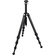 Really Right Stuff Ascend-14 Long Travel Carbon Fibre Tripod with Integrated Ball Head