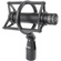 DPA Microphones 2015 Compact Wide-Cardioid Condenser Microphone