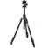 3 Legged Thing Patti 2.0 Magnesium Travel Tripod with AirHed Mini Ball Head (Darkness)