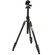 3 Legged Thing Punks Patti 2.0 Magnesium Travel Tripod with AirHed Mini Ball Head (Darkness)